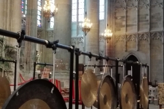 Concert-les-chants-du-gong-orchestra-Carcassonne-4