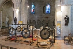 Trio-les-Chants-du-Gong-Orchestra-concert-Prechac-10-06-2017-011