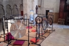 Trio-les-Chants-du-Gong-Orchestra-concert-Prechac_183823